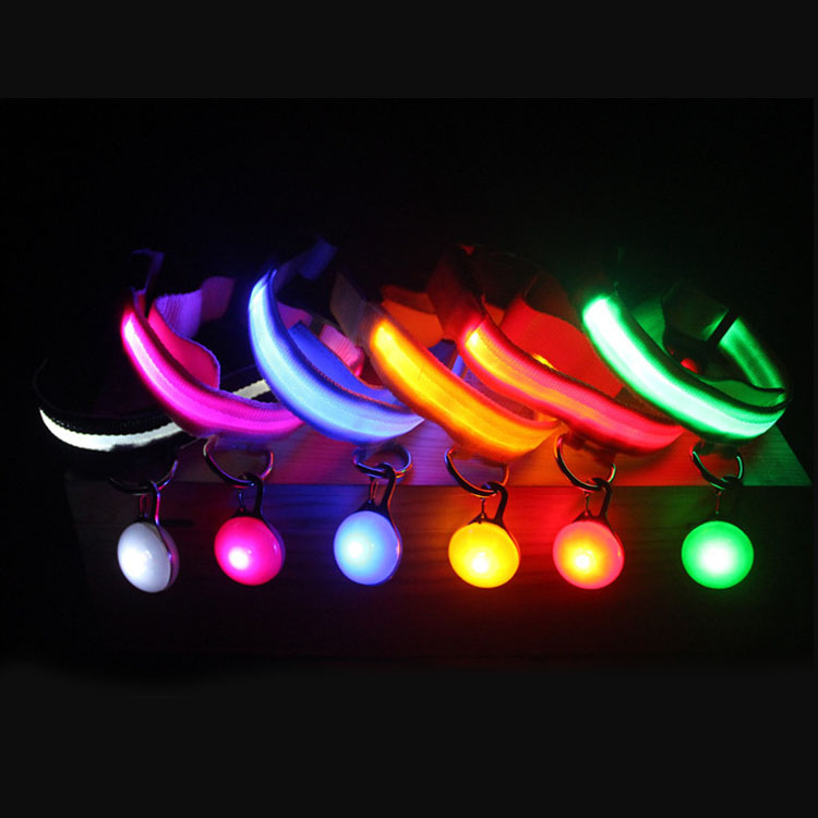 Hot Product Safety USB Rechargeable Collar Night Illuminated Glowing Luminous Light Pet LED Dog Collar