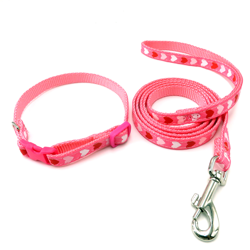 China Supplier Wholesale Adjustable Small Size Nylon Pet Leash Strong dog Collar Set for Puppy